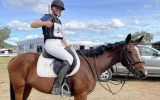 14.2hh 5y/o WB/TB Mare on HorseYard.com.au (thumbnail)