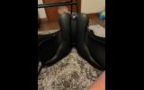 AP Wintec saddle on HorseYard.com.au (thumbnail)