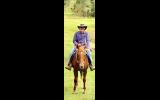 ‘Redman’ 16.2hh Chestnut TB Gelding on HorseYard.com.au (thumbnail)