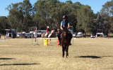 Gorgeous natured mare on HorseYard.com.au (thumbnail)