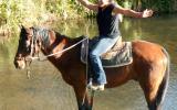 Sensible Quiet Bay Stock Gelding + VIDEO+ on HorseYard.com.au (thumbnail)