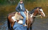 Stunning Paint QH Gelding + VIDEO++ on HorseYard.com.au (thumbnail)