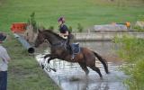 Talented Gelding on HorseYard.com.au (thumbnail)