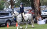 Ultimate Performance Pony on HorseYard.com.au (thumbnail)
