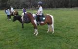 Pony on HorseYard.com.au (thumbnail)