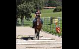 Gentle and smart mare  on HorseYard.com.au (thumbnail)