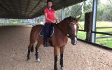 Big softy Warmblood for lease on HorseYard.com.au (thumbnail)