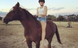 Quarter horse Arab gelding on HorseYard.com.au (thumbnail)