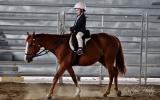 Beautiful Chestnut QH Mare on HorseYard.com.au (thumbnail)