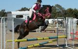 Stunning Eventer With Top Potential  on HorseYard.com.au (thumbnail)