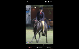 Stunning Black gelding on HorseYard.com.au (thumbnail)