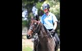  Lovely quiet project mare on HorseYard.com.au (thumbnail)