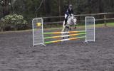 Lakevale Toy Dancer- Ultimate Allrounder pony on HorseYard.com.au (thumbnail)