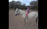 Family Pony  on HorseYard.com.au (thumbnail)
