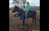 Bombproof Mare  on HorseYard.com.au (thumbnail)