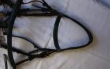 Black Longma Bridle on HorseYard.com.au (thumbnail)