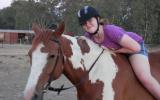 Your New Best Friend - Exceptional Gelding on HorseYard.com.au (thumbnail)