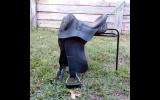Wintec Pro Stock swinging fender saddle on HorseYard.com.au (thumbnail)