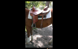Ian Burnett Cutting Saddle on HorseYard.com.au (thumbnail)