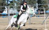 Sporting, Showjumping, XCountry Pony on HorseYard.com.au (thumbnail)