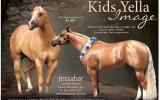  Rio Gold - Weanling colt by LP Kids Yella Image (imp) on HorseYard.com.au (thumbnail)