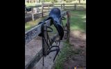 Equipe Emporio Saddle and Bridles for sale on HorseYard.com.au (thumbnail)