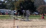 Showjumping school mistress - BERRIVALE sky blue on HorseYard.com.au (thumbnail)