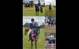 Alround pony/ part welsh on HorseYard.com.au (thumbnail)