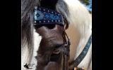 CSS Blue Diamond Inlay Tackset- Chestnut Leather Cob/ Full on HorseYard.com.au (thumbnail)