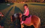 Two Sweet Kids Ponies  on HorseYard.com.au (thumbnail)