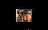 Quiet gelding on HorseYard.com.au (thumbnail)