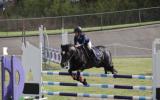 Showjumping school mistress - BERRIVALE sky blue on HorseYard.com.au (thumbnail)