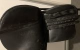 17” trainers master ap/gp saddle  on HorseYard.com.au (thumbnail)