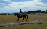 BEEN THERE DONE THAT EVENTER  on HorseYard.com.au (thumbnail)