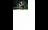Dressage Pony on HorseYard.com.au (thumbnail)