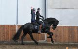 Ties great and saddles perfect. on HorseYard.com.au (thumbnail)