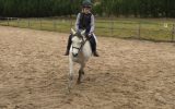 Australian Pony Mare on HorseYard.com.au (thumbnail)