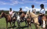 My lovely palomino  on HorseYard.com.au (thumbnail)