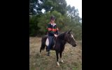 Australian Riding Pony Potential Plus on HorseYard.com.au (thumbnail)