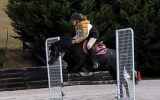 Childs Pony for Sale.  on HorseYard.com.au (thumbnail)