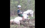 Beautiful Palouse lead line pony gelding on HorseYard.com.au (thumbnail)