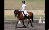 Elementary Dressage Pony GRPx  on HorseYard.com.au (thumbnail)