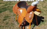 Teskey's Saddle  on HorseYard.com.au (thumbnail)