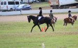 Stunning Black Andalusian x TB mare on HorseYard.com.au (thumbnail)