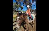 Pepper- Appaloosa teen's mount on HorseYard.com.au (thumbnail)