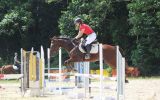 Dressage/Showjumper on HorseYard.com.au (thumbnail)