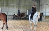 Stunning mare on HorseYard.com.au (thumbnail)