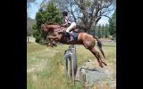Great teenagers mount on HorseYard.com.au (thumbnail)