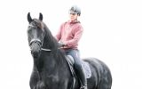 Lotte 5 yr old Year Old Friesian Mare . on HorseYard.com.au (thumbnail)