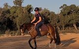 Royal Quality Large Hunter Pony on HorseYard.com.au (thumbnail)